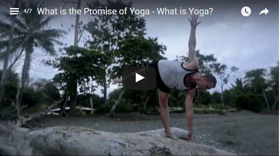 What is the Promise of Yoga – What is Yoga?