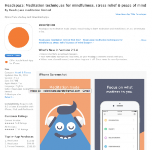 headspace-meditation-techinques-5-yogaapps-every-techie-should-have