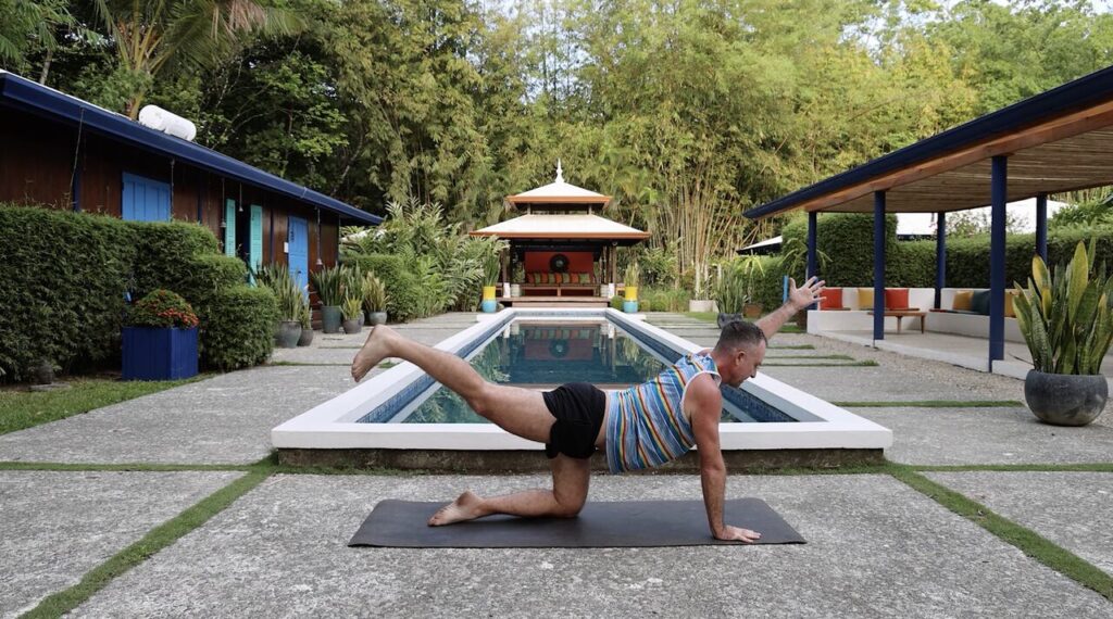 bird dog pose for a healthier pain free spine