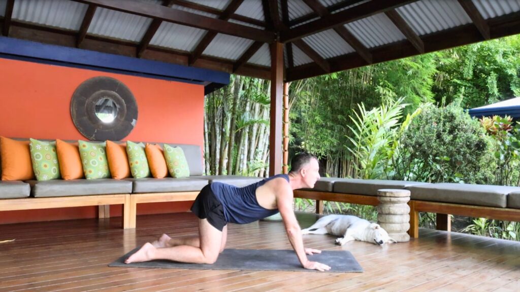 All Fours (Chakravakasana) Yoga Pose with Yogi Aaron